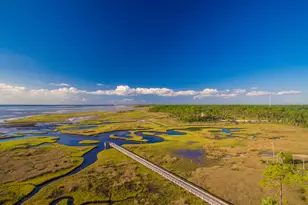 187 Tortuga Trl, Port Saint Joe, FL 32456 - Photo 45