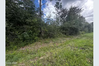 000 NW Lake McKenzie Boulevard, Altha, FL 32421 - Photo 1