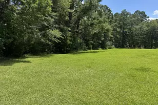 1929 N Holmes Creek Rd, Graceville, FL 32440 - Photo 39