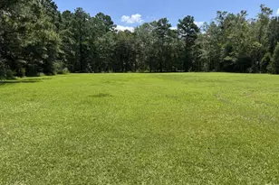 1929 N Holmes Creek Rd, Graceville, FL 32440 - Photo 43