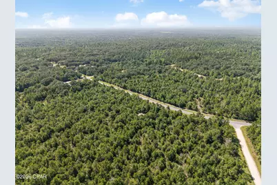 0 Southern Boulevard, Alford, FL 32420 - Photo 17