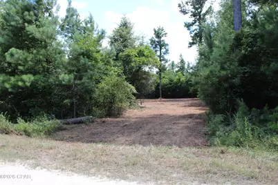 0 Reserve Drive, Marianna, FL 32446 - Photo 7