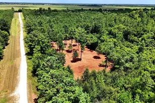 0 Reserve Dr, Marianna, FL 32446 - Photo 1