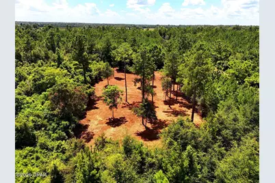 0 Reserve Drive, Marianna, FL 32446 - Photo 15