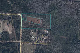 0000 NW Mazerac Rd, Clarksville, FL 32430 - Photo 1