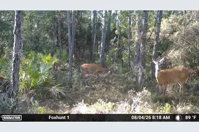0 Foxhunt Road, Fountain, FL 32438 - Photo 15