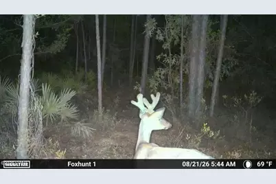 0 Foxhunt Road, Fountain, FL 32438 - Photo 9