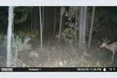 0 Foxhunt Road, Fountain, FL 32438 - Photo 7