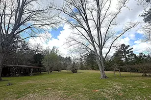 3395 Ontario Rd, Marianna, FL 32448 - Photo 61
