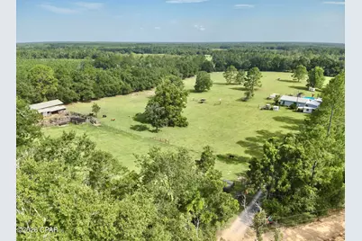 1036 Broom Road, Bonifay, FL 32425 - Photo 5