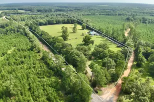 1036 Broom Rd, Bonifay, FL 32425 - Photo 23
