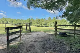 1036 Broom Rd, Bonifay, FL 32425 - Photo 35