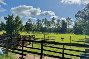 1036 Broom Rd, Bonifay, FL 32425 - Photo 33
