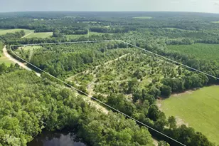1036 Broom Rd, Bonifay, FL 32425 - Photo 45