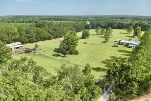 1036 Broom Rd, Bonifay, FL 32425 - Photo 5