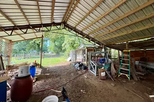 1036 Broom Rd, Bonifay, FL 32425 - Photo 31