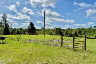 1036 Broom Rd, Bonifay, FL 32425 - Photo 43