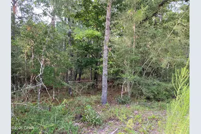 Lot 30 Putnam Avenue, Alford, FL 32420 - Photo 3