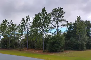 Lot 8 Shenandoah Blvd, Chipley, FL 32428 - Photo 1