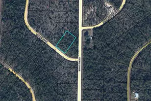 0 Channel Dr, Alford, FL 32420 - Photo 1