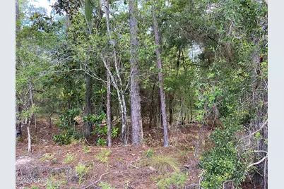 Lot 31 Putnam Avenue, Alford, FL 32420 - Photo 3