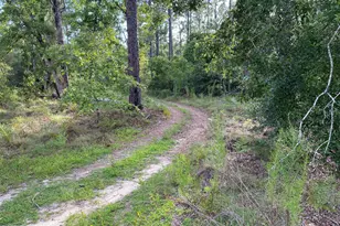 Lot 31 Putnam Ave, Alford, FL 32420 - Photo 1