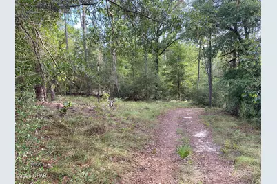 Lot 31 Putnam Avenue, Alford, FL 32420 - Photo 5