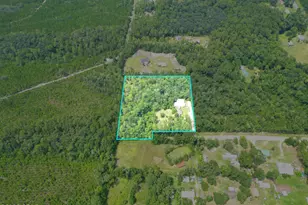 19920 Shawn Rd, Hosford, FL 32334 - Photo 45