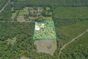 19920 Shawn Rd, Hosford, FL 32334 - Photo 43