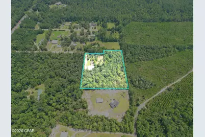 19920 Shawn Road, Hosford, FL 32334 - Photo 43