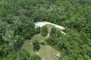 19920 Shawn Rd, Hosford, FL 32334 - Photo 41
