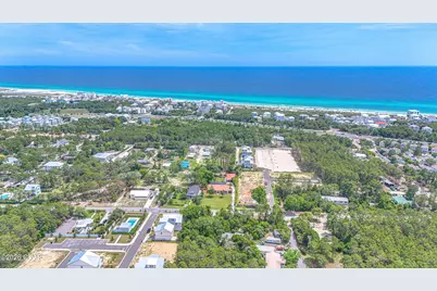 115 W Walton Palm Road, Inlet Beach, FL 32461 - Photo 39