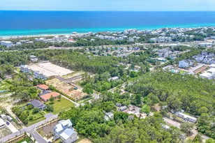 115 W Walton Palm Rd, Inlet Beach, FL 32461 - Photo 45