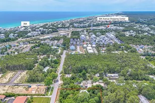 115 W Walton Palm Rd, Inlet Beach, FL 32461 - Photo 25