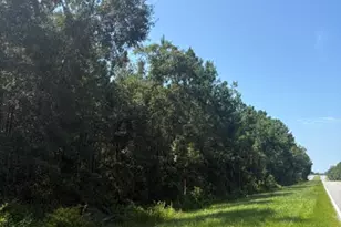 0 Blueberry Dr, Sneads, FL 32460 - Photo 1