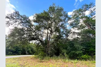 Lot 59 Preston Circle, Chipley, FL 32428 - Photo 3