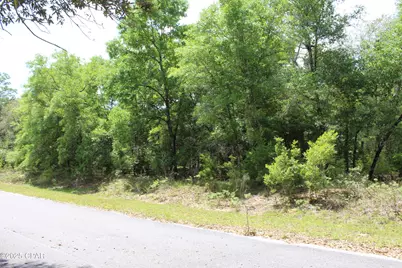 Lot 17 Arnone Lane, Chipley, FL 32428 - Photo 11