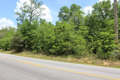 Lot 17 Arnone Lane, Chipley, FL 32428 - Photo 9