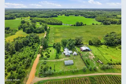 2919 T J Mitchell Road, Bonifay, FL 32425 - Photo 39