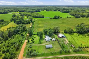 2919 T J Mitchell Rd, Bonifay, FL 32425 - Photo 39
