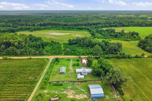 2919 T J Mitchell Rd, Bonifay, FL 32425 - Photo 41