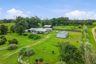 2919 T J Mitchell Rd, Bonifay, FL 32425 - Photo 43
