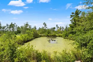 11214 Stone Rd, Panama City, FL 32404 - Photo 9