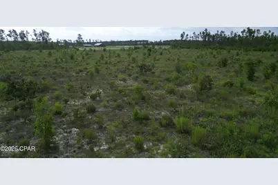 Tbd NW Telogia Creek Drive, Bristol, FL 32321 - Photo 9