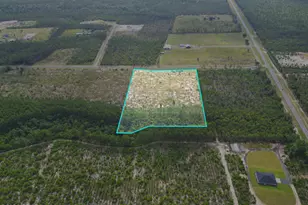 Tbd NW Telogia Creek Dr, Bristol, FL 32321 - Photo 1