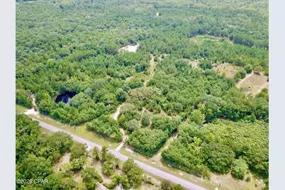 3904 River Road, Vernon, FL 32462 - Photo 5