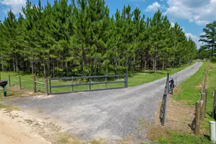 4268 Rogers Rd, Greenwood, FL 32443 - Photo 73