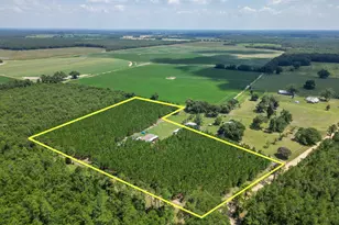4268 Rogers Rd, Greenwood, FL 32443 - Photo 61