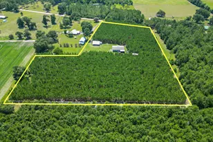 4268 Rogers Rd, Greenwood, FL 32443 - Photo 59
