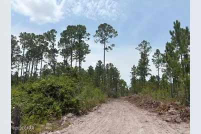 22563 NW Lake McKenzie Boulevard, Altha, FL 32421 - Photo 5